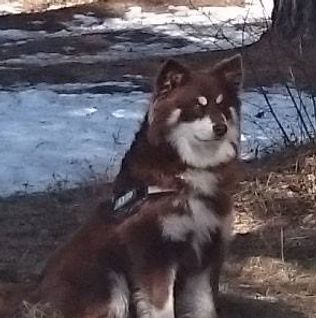 Kastanjetorpets Okero