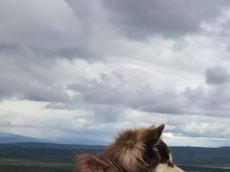 Kastanjetorpets Orup